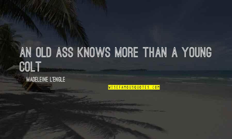 Pixelized Quotes By Madeleine L'Engle: An old ass knows more than a young
