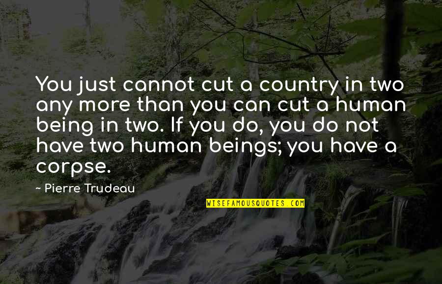 Pixilation Quotes By Pierre Trudeau: You just cannot cut a country in two