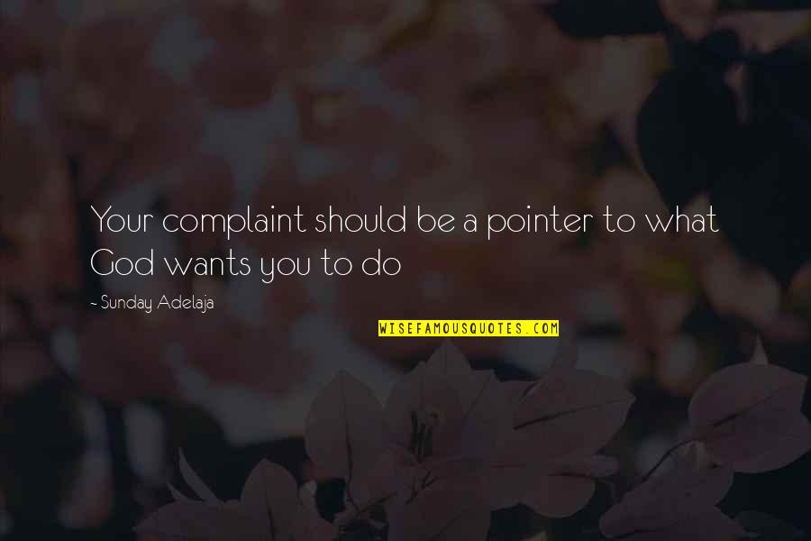 Pizzicato Lake Quotes By Sunday Adelaja: Your complaint should be a pointer to what Pizzicato Lake Quotes By Sunday Adelaja: Your complaint should be a pointer to what