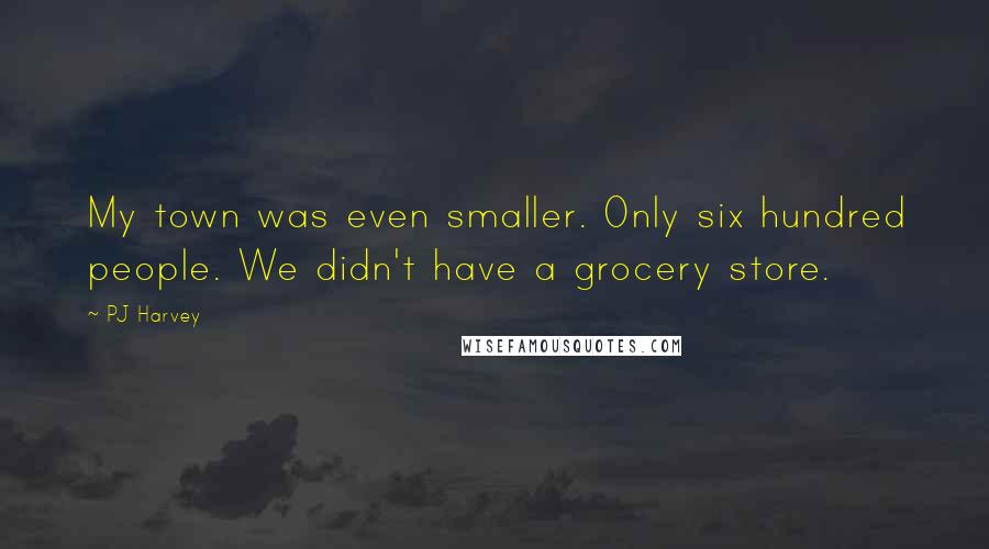 PJ Harvey quotes: My town was even smaller. Only six hundred people. We didn't have a grocery store.