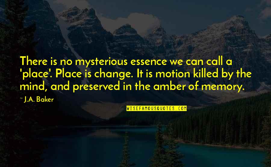 Place And Memory Quotes By J.A. Baker: There is no mysterious essence we can call