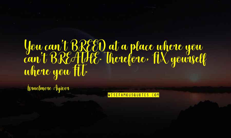 Place I Grow Up Quotes By Israelmore Ayivor: You can't BREED at a place where you Place I Grow Up Quotes By Israelmore Ayivor: You can't BREED at a place where you