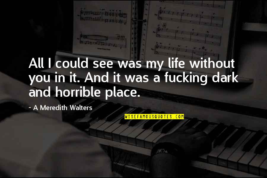 Place In Life Quotes By A Meredith Walters: All I could see was my life without Place In Life Quotes By A Meredith Walters: All I could see was my life without