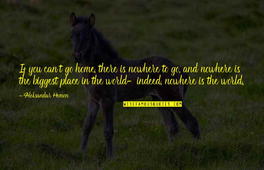 Place In The World Quotes By Aleksandar Hemon: If you can't go home, there is nowhere