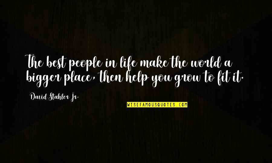 Place In The World Quotes By David Stahler Jr.: The best people in life make the world