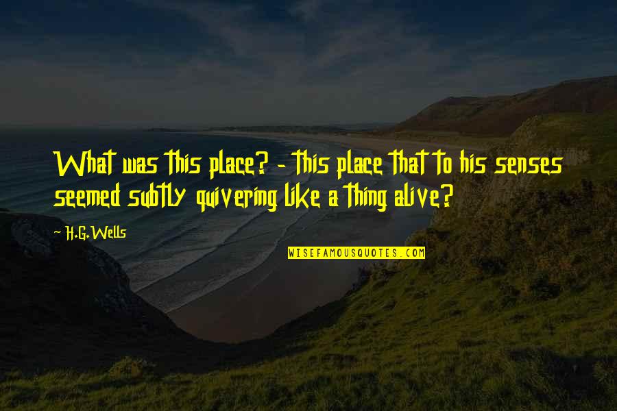 Place Like This Quotes By H.G.Wells: What was this place? - this place that