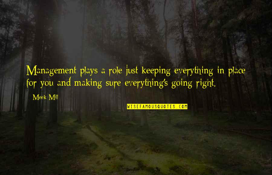 Place Making Quotes By Meek Mill: Management plays a role just keeping everything in