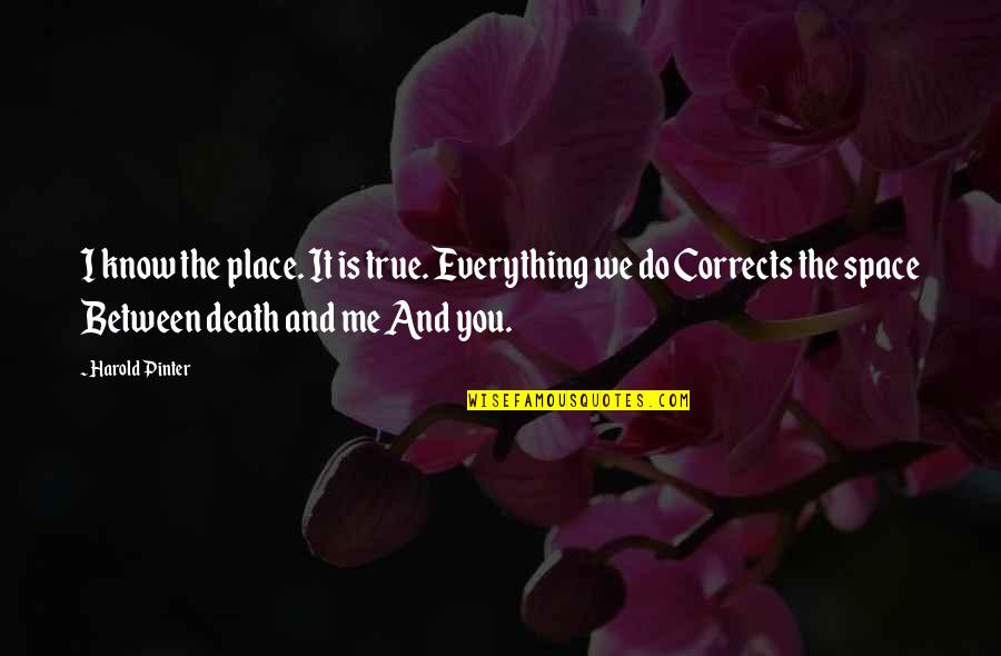 Place Space Quotes By Harold Pinter: I know the place. It is true. Everything