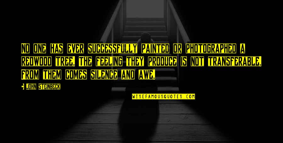 Place The Following Quotes By John Steinbeck: No one has ever successfully painted or photographed