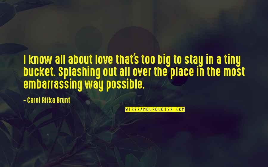 Place Too Quotes By Carol Rifka Brunt: I know all about love that's too big
