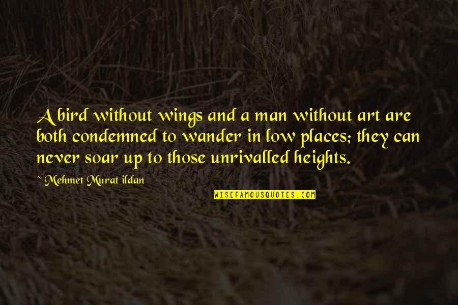 Places Quotes And Quotes By Mehmet Murat Ildan: A bird without wings and a man without