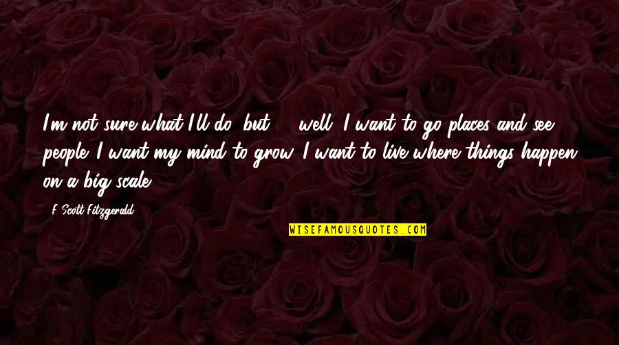 Places To Go People To See Quotes By F Scott Fitzgerald: I'm not sure what I'll do, but -