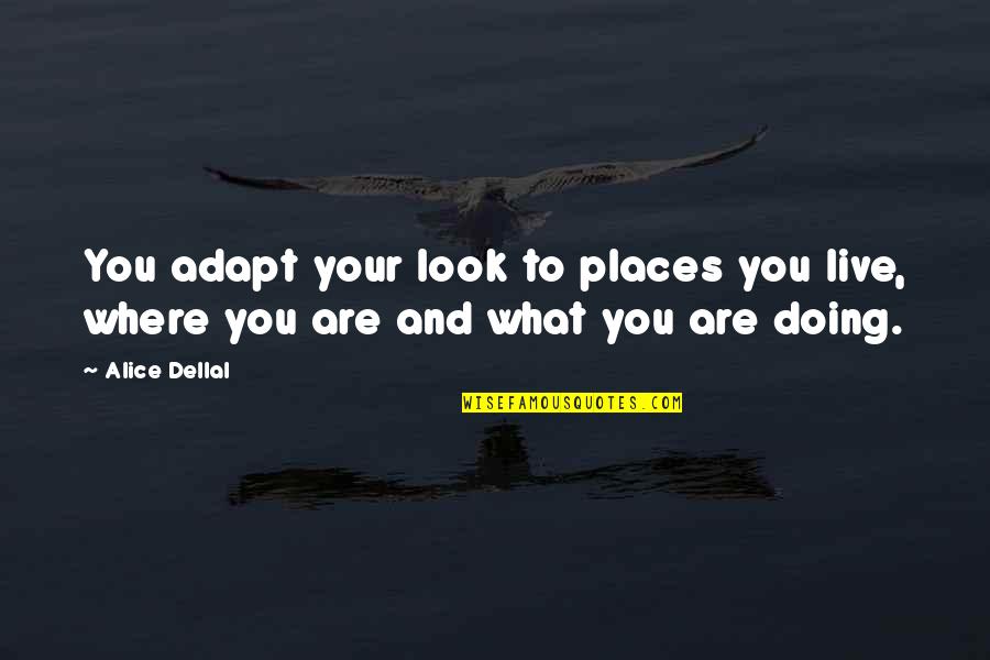 Places You Live Quotes By Alice Dellal: You adapt your look to places you live,