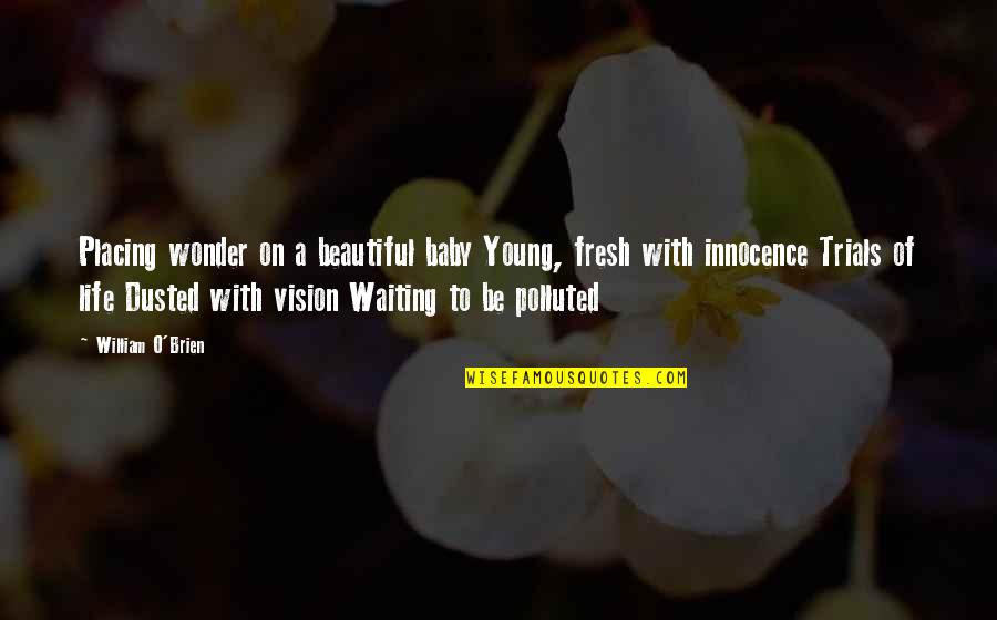 Placing Quotes By William O'Brien: Placing wonder on a beautiful baby Young, fresh Placing Quotes By William O'Brien: Placing wonder on a beautiful baby Young, fresh