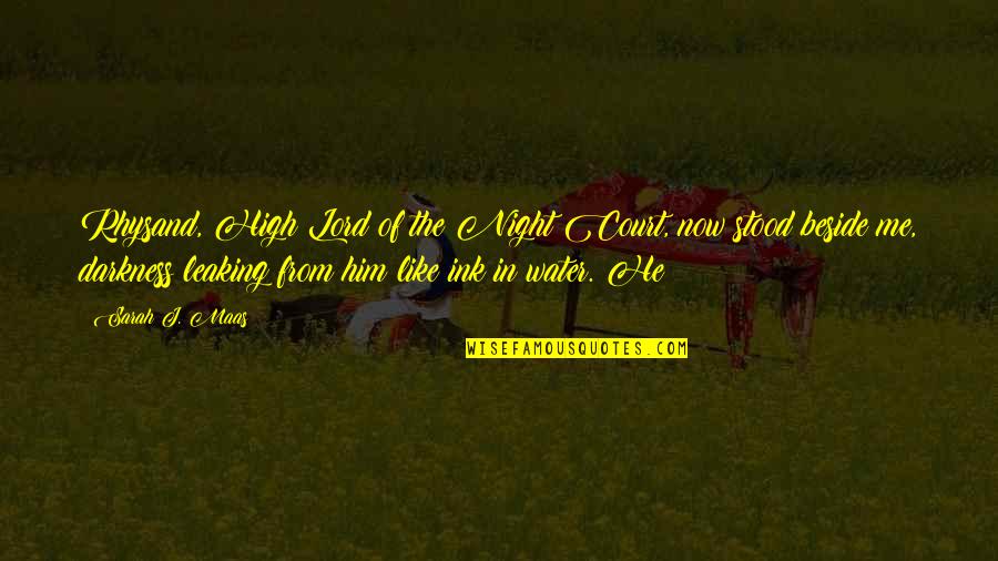 Plagiat En Quotes By Sarah J. Maas: Rhysand, High Lord of the Night Court, now Plagiat En Quotes By Sarah J. Maas: Rhysand, High Lord of the Night Court, now