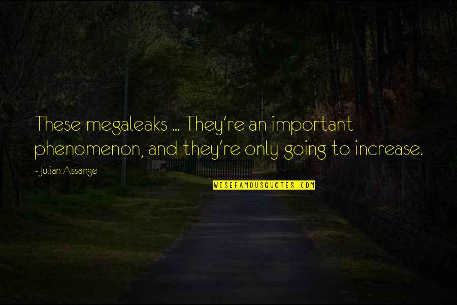 Plagiat Scan Quotes By Julian Assange: These megaleaks ... They're an important phenomenon, and Plagiat Scan Quotes By Julian Assange: These megaleaks ... They're an important phenomenon, and
