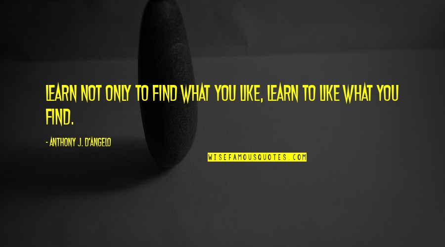 Plaider Quotes By Anthony J. D'Angelo: Learn not only to find what you like, Plaider Quotes By Anthony J. D'Angelo: Learn not only to find what you like,