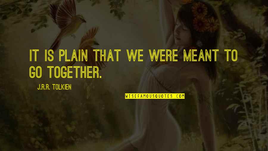 Plain Quotes By J.R.R. Tolkien: It is plain that we were meant to