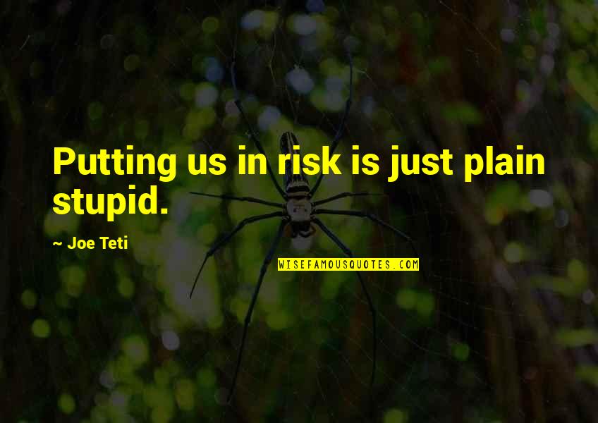 Plain Stupid Quotes By Joe Teti: Putting us in risk is just plain stupid.