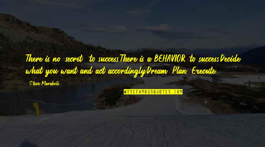 Plan Accordingly Quotes By Steve Maraboli: There is no 'secret' to success.There is a