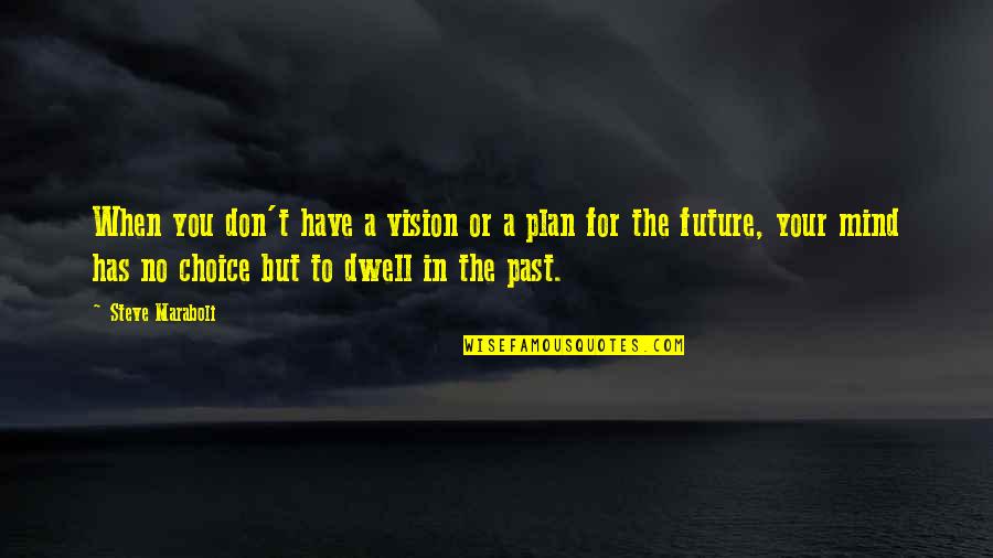 Plan The Future Quotes By Steve Maraboli: When you don't have a vision or a