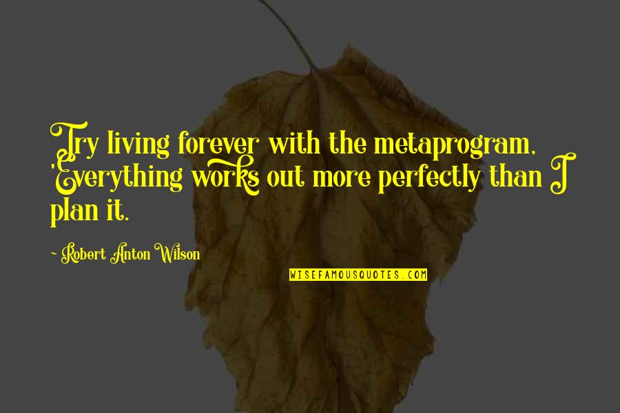 Plan Work Quotes By Robert Anton Wilson: Try living forever with the metaprogram, 'Everything works