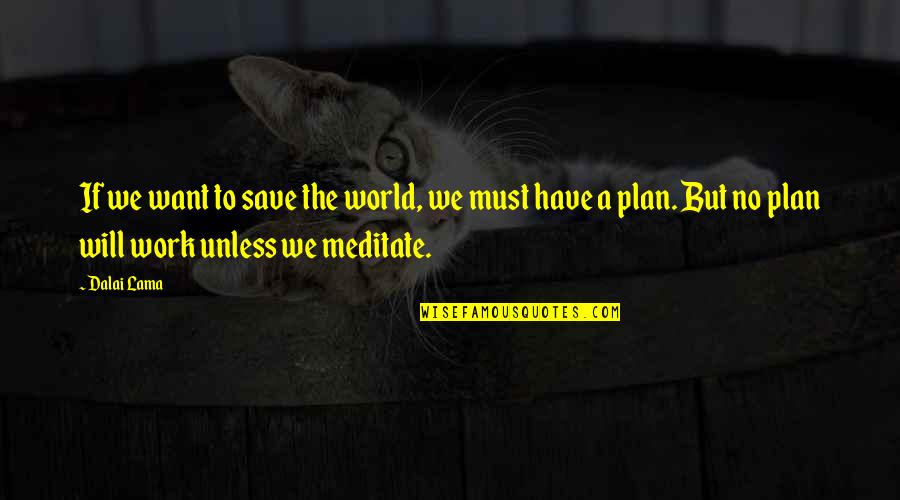 Plan Your Work And Work Your Plan Quotes By Dalai Lama: If we want to save the world, we