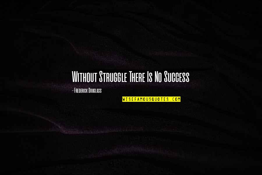 Planckaert Technics Quotes By Frederick Douglass: Without Struggle There Is No Success
