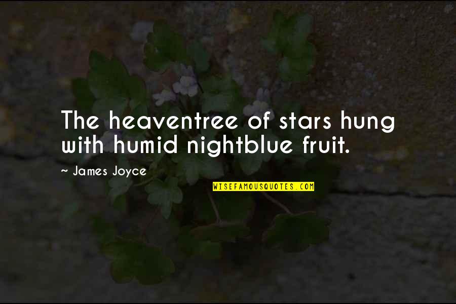 Planedu Quotes By James Joyce: The heaventree of stars hung with humid nightblue