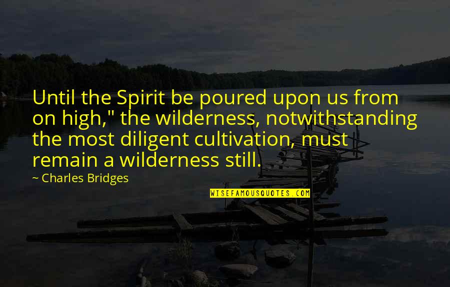 Planes 23 Quotes By Charles Bridges: Until the Spirit be poured upon us from Planes 23 Quotes By Charles Bridges: Until the Spirit be poured upon us from