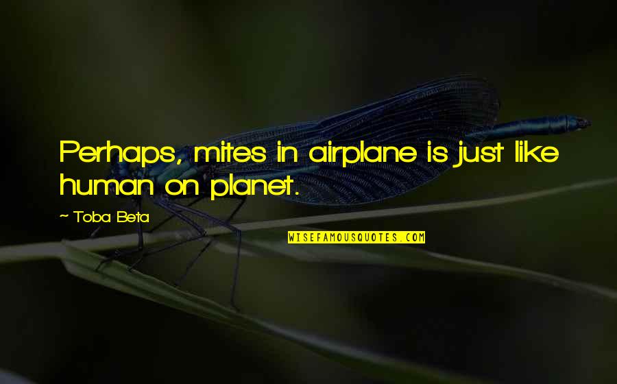 Planet Quotes By Toba Beta: Perhaps, mites in airplane is just like human