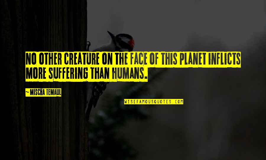 Planet The Earth Quotes By Mischa Temaul: No other creature on the face of this