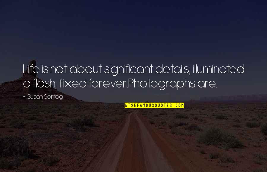 Planetesimal Quotes By Susan Sontag: Life is not about significant details, illuminated a