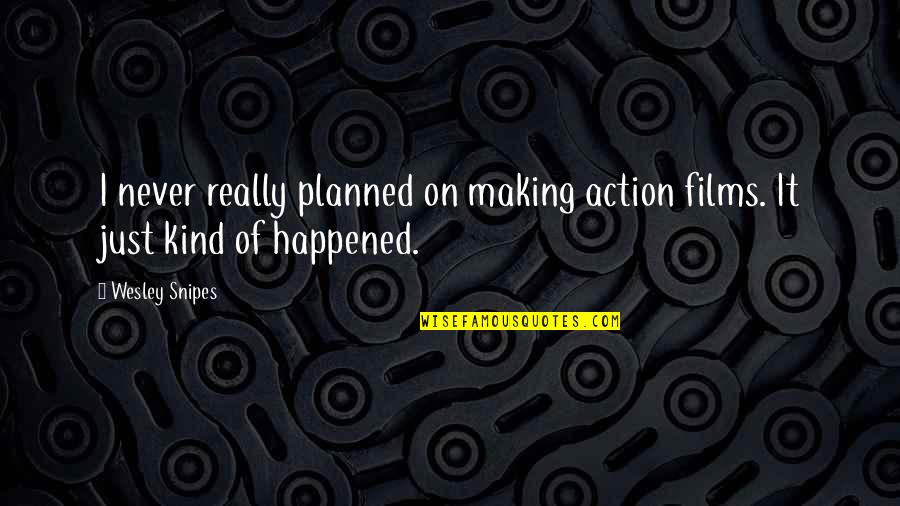 Planned Quotes By Wesley Snipes: I never really planned on making action films.