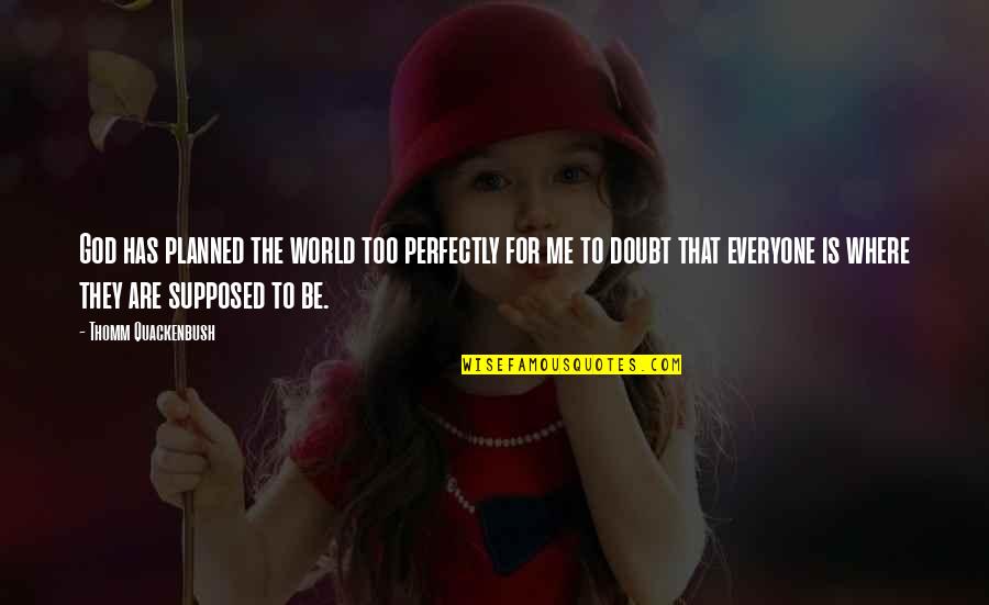 Planned The Quotes By Thomm Quackenbush: God has planned the world too perfectly for Planned The Quotes By Thomm Quackenbush: God has planned the world too perfectly for