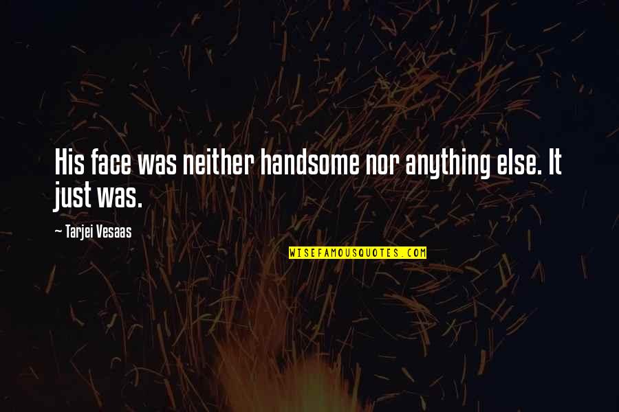 Planning For Emergencies Quotes By Tarjei Vesaas: His face was neither handsome nor anything else.