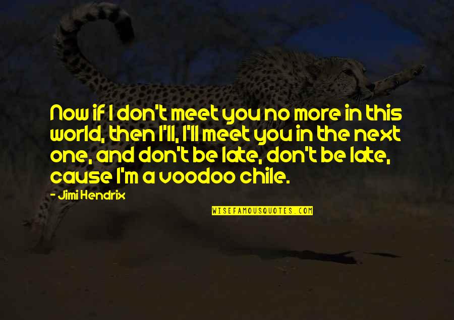 Planningsagenda Quotes By Jimi Hendrix: Now if I don't meet you no more