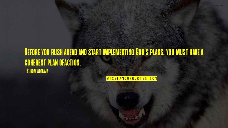 Plans And God Quotes By Sunday Adelaja: Before you rush ahead and start implementing God's