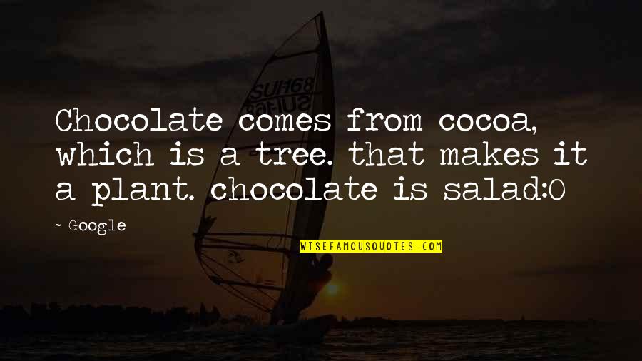 Plant A Tree Best Quotes By Google: Chocolate comes from cocoa, which is a tree.