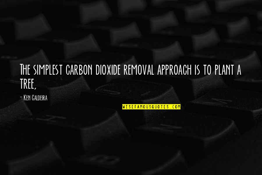 Plant A Tree Best Quotes By Ken Caldeira: The simplest carbon dioxide removal approach is to