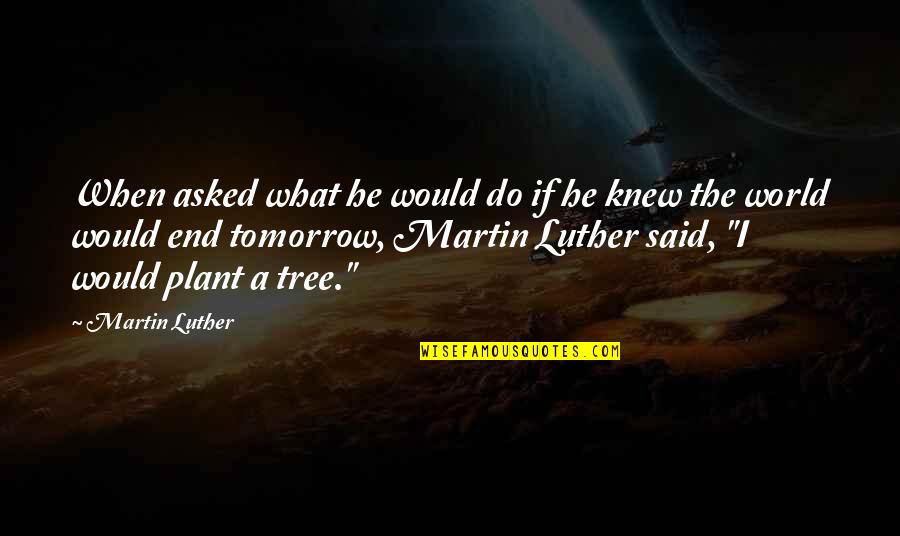 Plant A Tree Best Quotes By Martin Luther: When asked what he would do if he Plant A Tree Best Quotes By Martin Luther: When asked what he would do if he