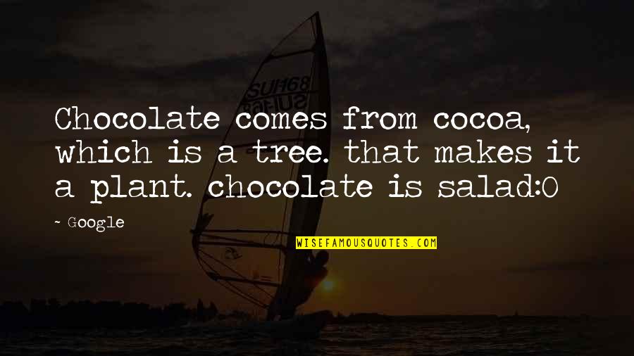 Plant A Tree Quotes By Google: Chocolate comes from cocoa, which is a tree.