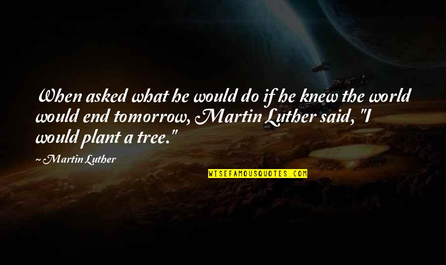 Plant A Tree Quotes By Martin Luther: When asked what he would do if he