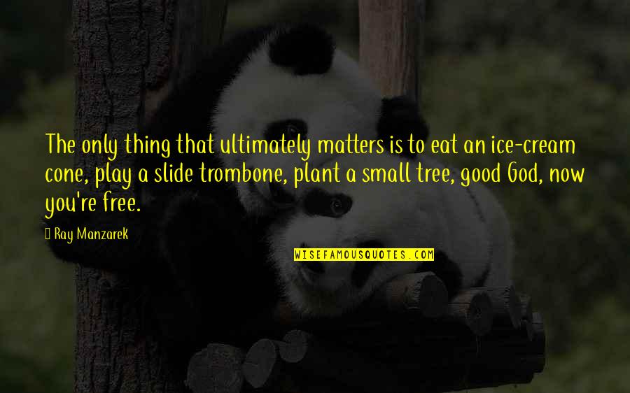 Plant A Tree Quotes By Ray Manzarek: The only thing that ultimately matters is to