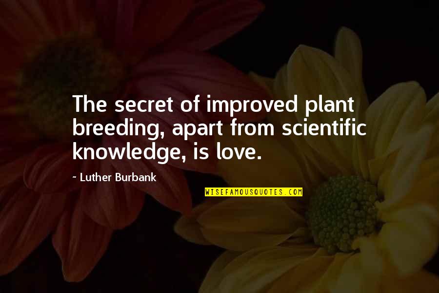 Plant Breeding Quotes By Luther Burbank: The secret of improved plant breeding, apart from
