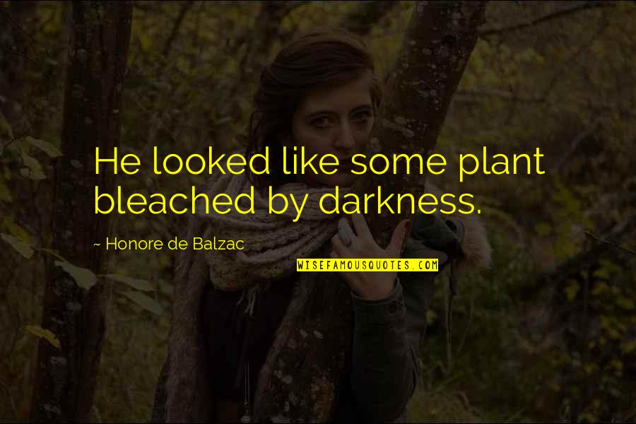 Plant Quotes By Honore De Balzac: He looked like some plant bleached by darkness.