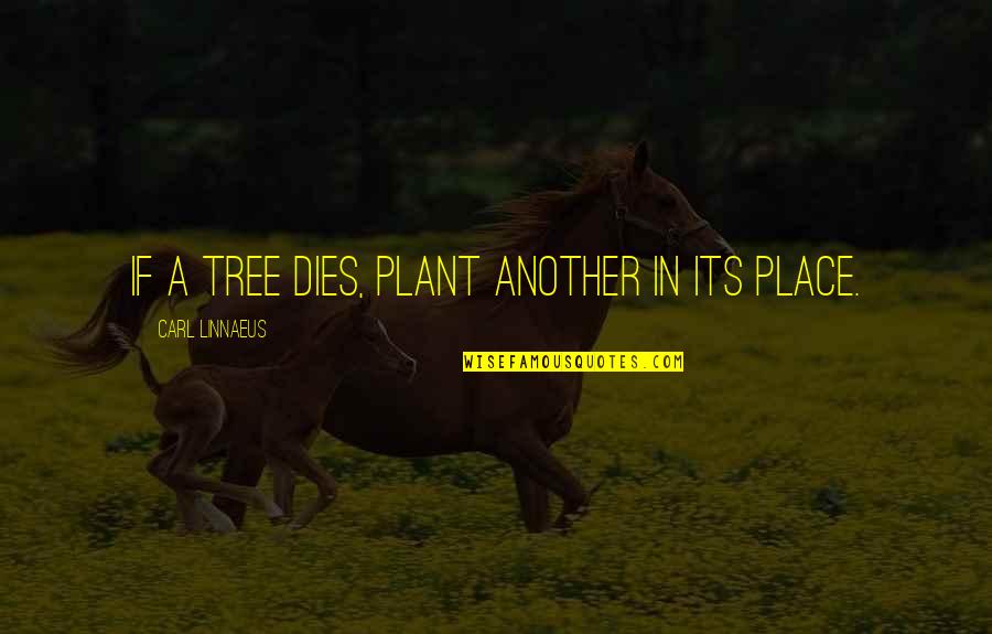 Plant Tree Quotes By Carl Linnaeus: If a tree dies, plant another in its