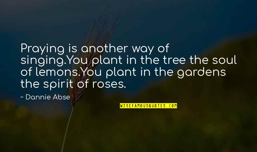 Plant Tree Quotes By Dannie Abse: Praying is another way of singing.You plant in