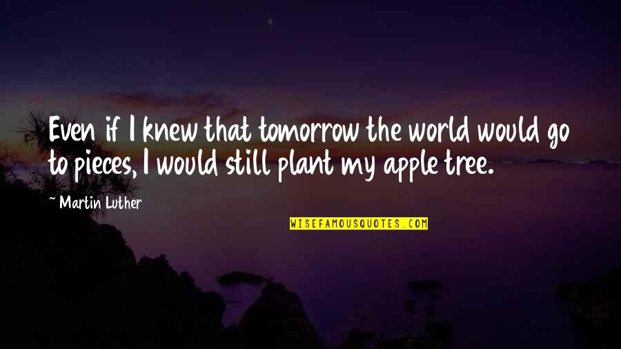 Plant Tree Quotes By Martin Luther: Even if I knew that tomorrow the world