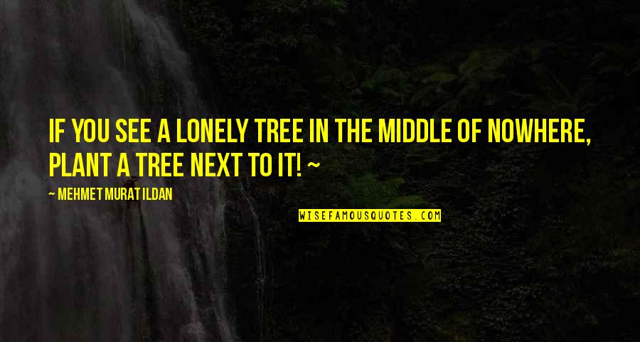 Plant Tree Quotes By Mehmet Murat Ildan: If you see a lonely tree in the Plant Tree Quotes By Mehmet Murat Ildan: If you see a lonely tree in the